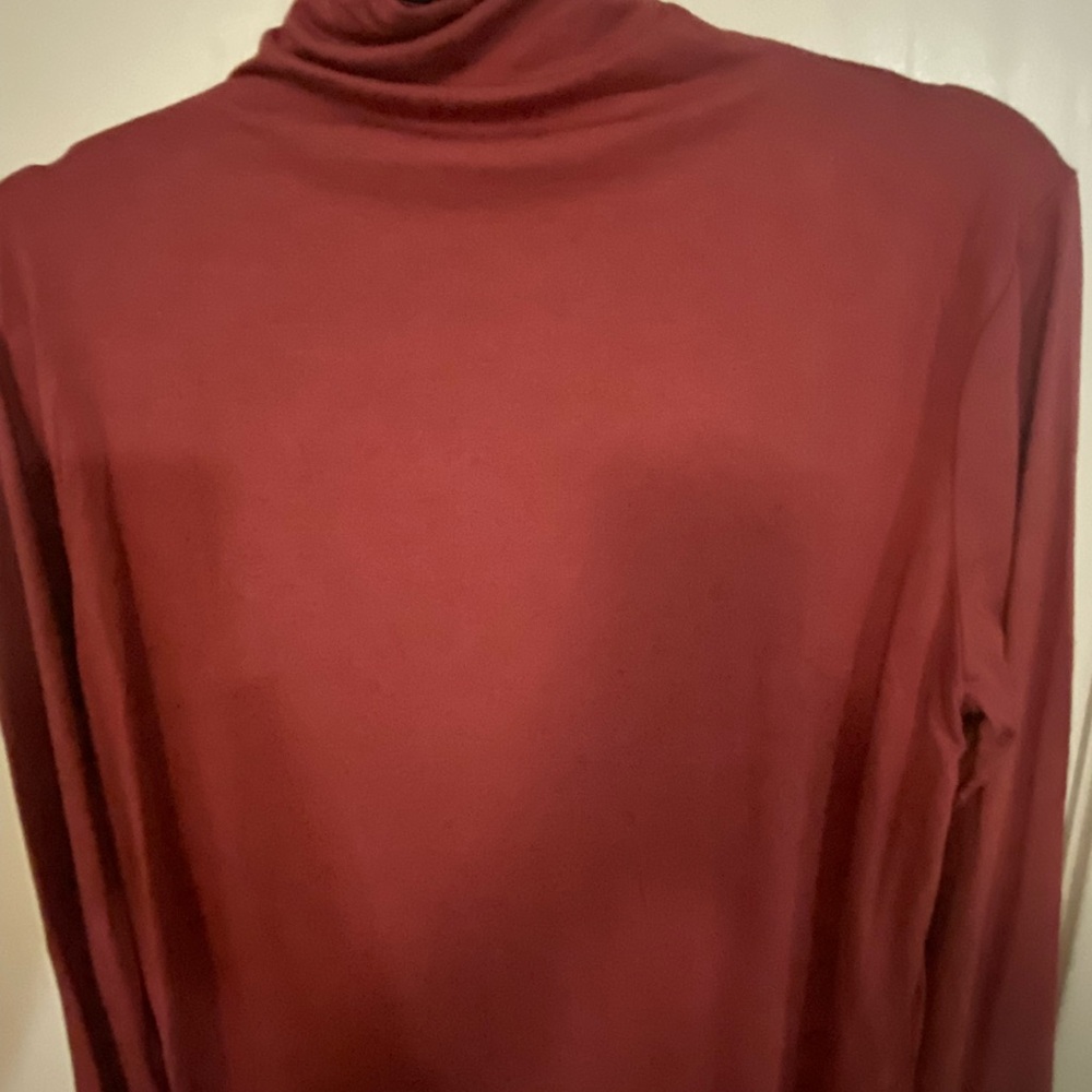 Elegant Burgundy high collar Top
